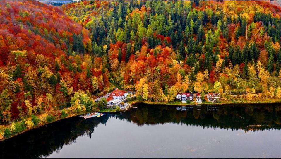 Bed and Breakfast Fregata Загуже-Слёнске Экстерьер фото